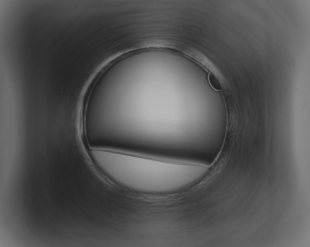 X0000101191132200806270842