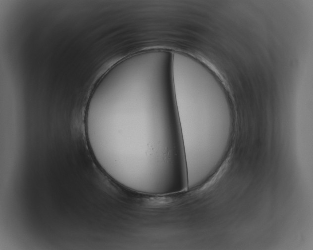 X0000101191137200806270842