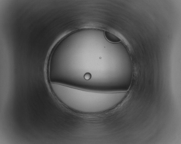 X0000101191138200806270842