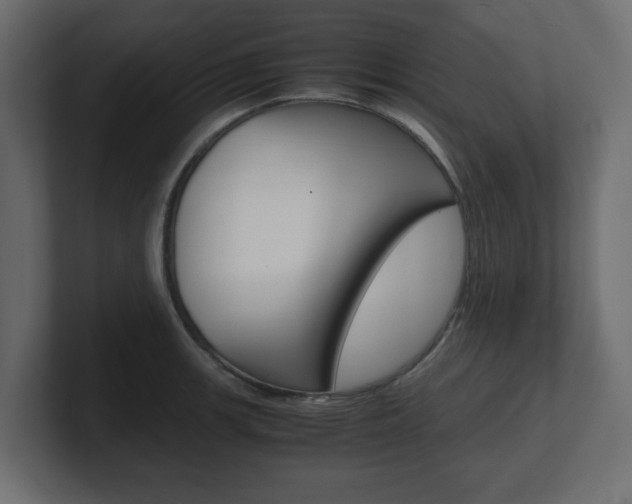 X0000101191139200806270842