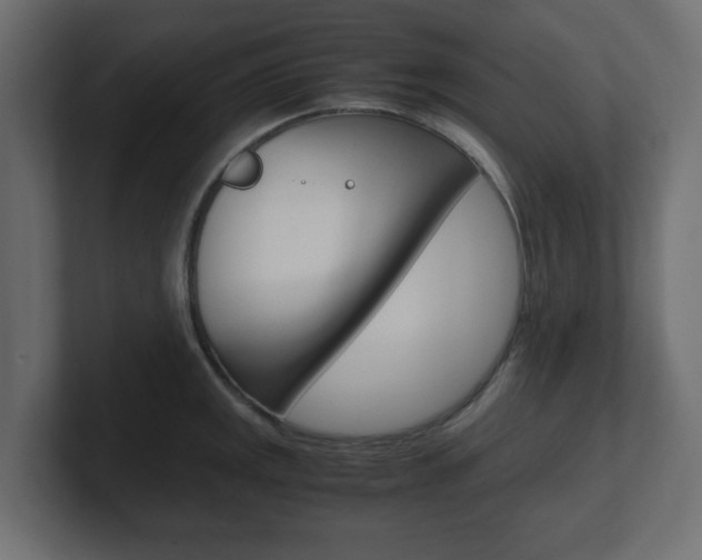 X0000101191141200806270842