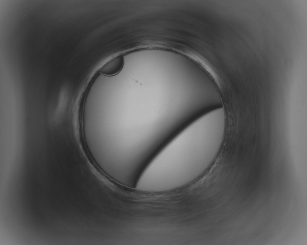 X0000101191143200806270842