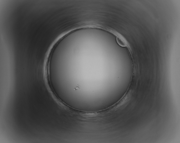 X0000101191144200806270842