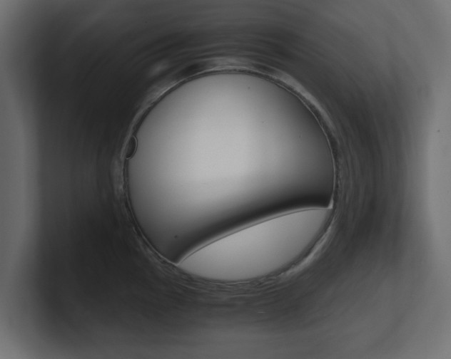 X0000101191145200806270842