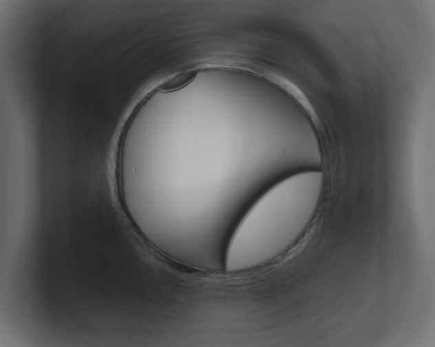 X0000101191146200806270842
