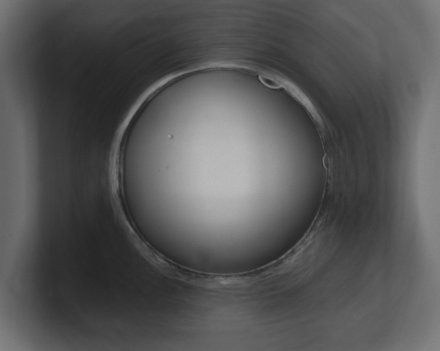 X0000101191148200806270842
