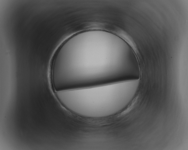 X0000101191149200806270842