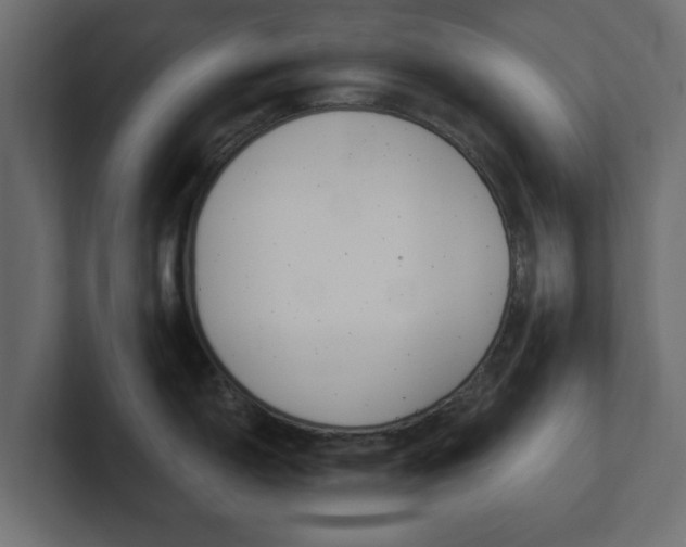 X0000101191150200806270842