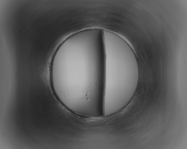 X0000101191151200806270842