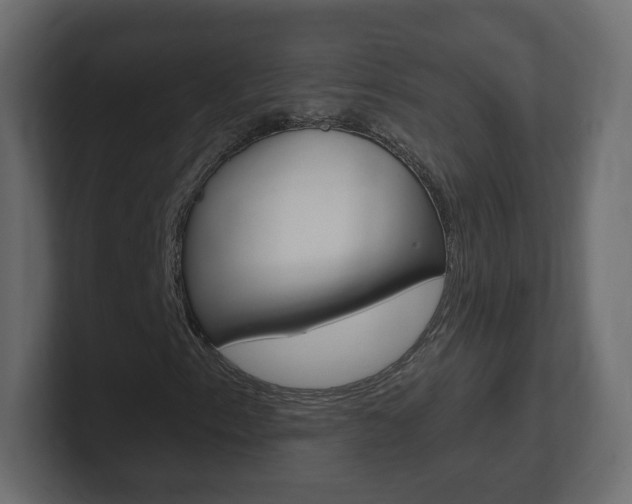 X0000101191153200806270841