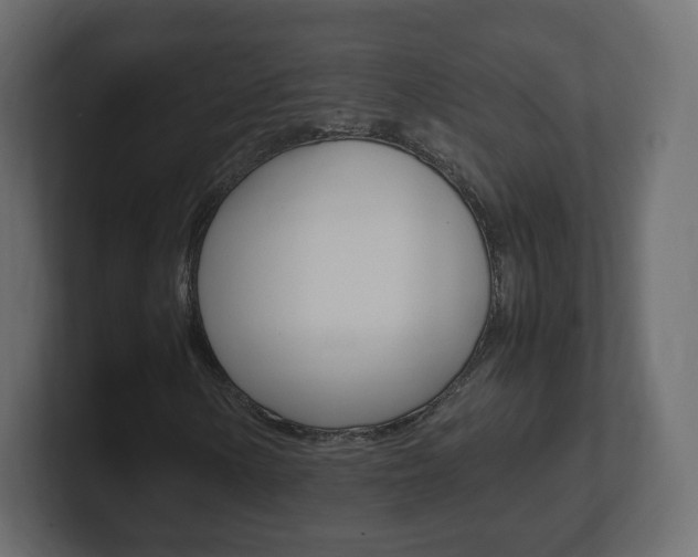 X0000101191154200806270841