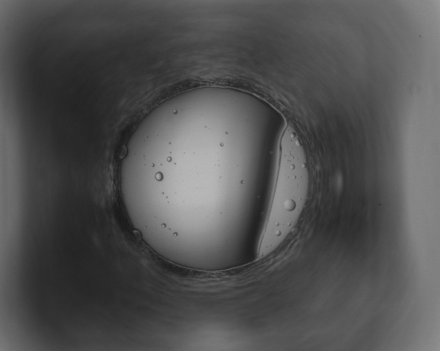 X0000101191156200806270841