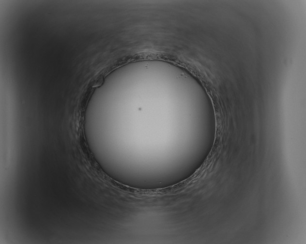 X0000101191157200806270841