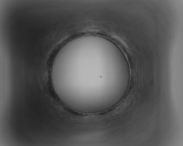 X0000101191159200806270841