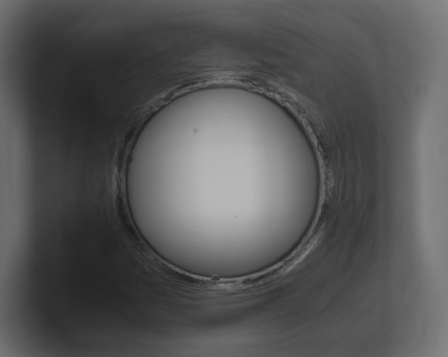 X0000101191161200806270841