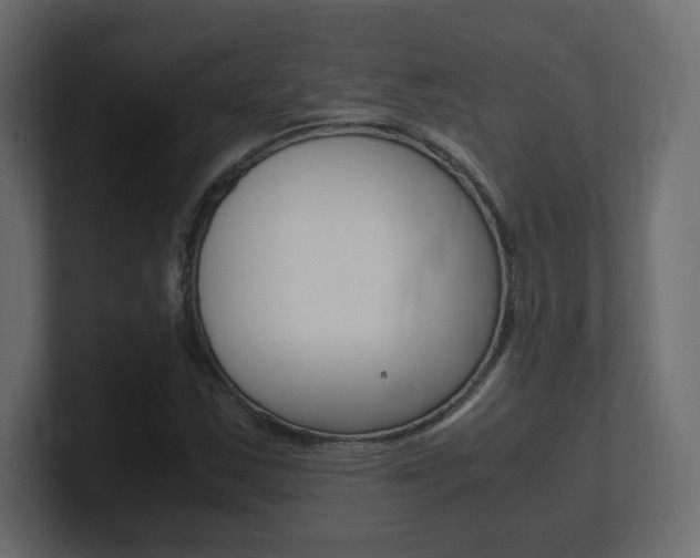 X0000101191163200806270841
