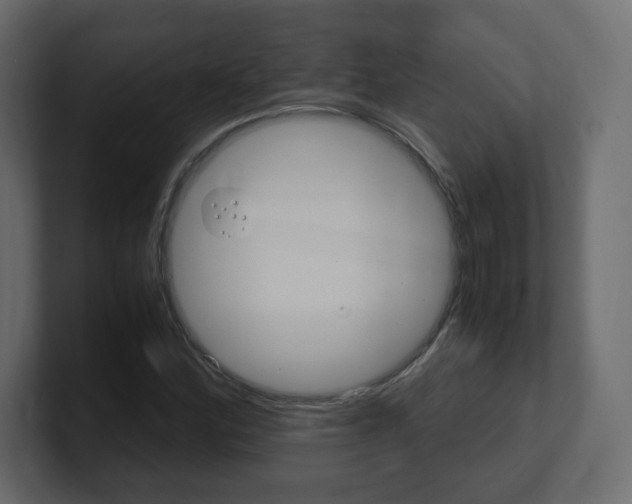 X0000101191164200806270841