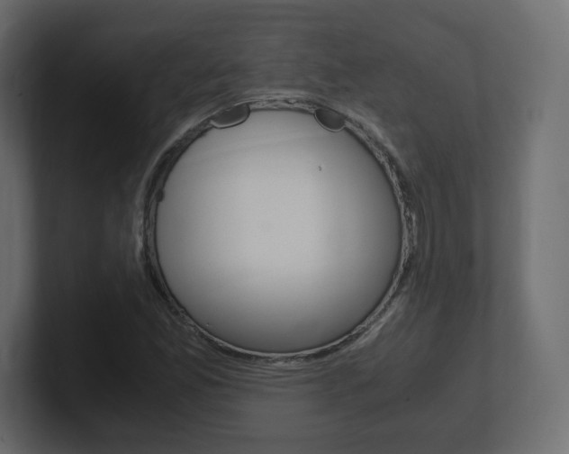 X0000101191165200806270841