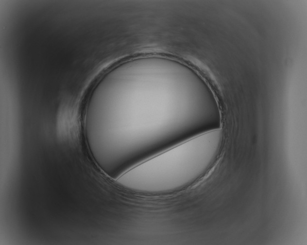 X0000101191167200806270841