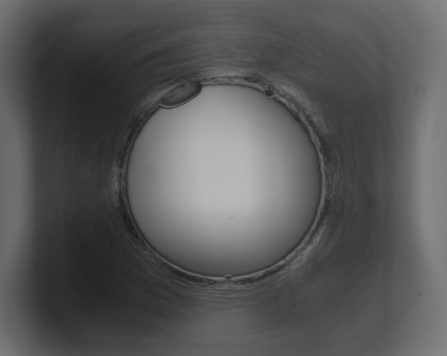 X0000101191169200806270841