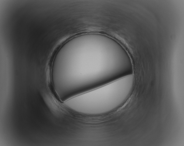 X0000101191171200806270841