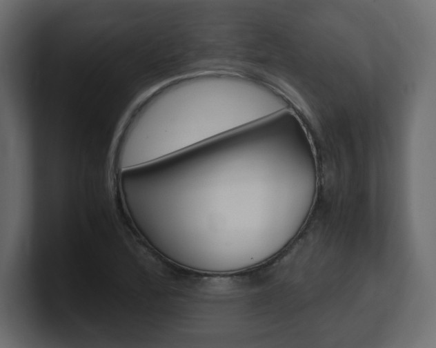 X0000101191172200806270841