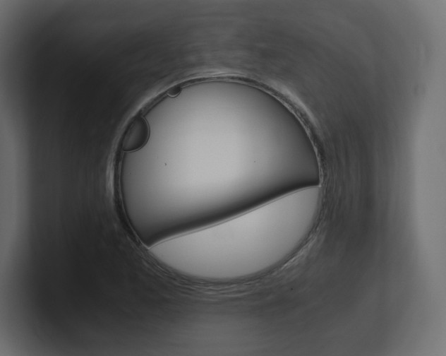 X0000101191173200806270841