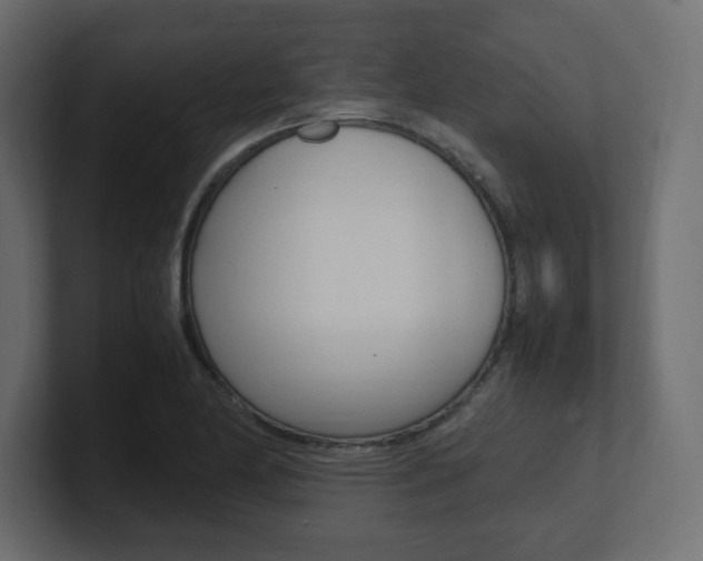 X0000101191174200806270841