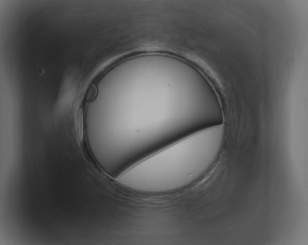 X0000101191175200806270841