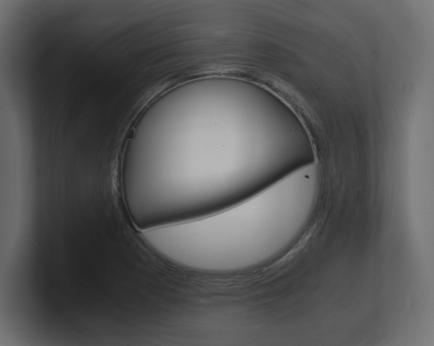 X0000101191177200806270841
