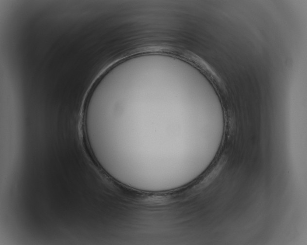 X0000101191178200806270841