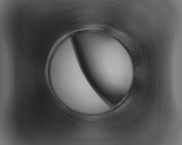 X0000101191180200806270841