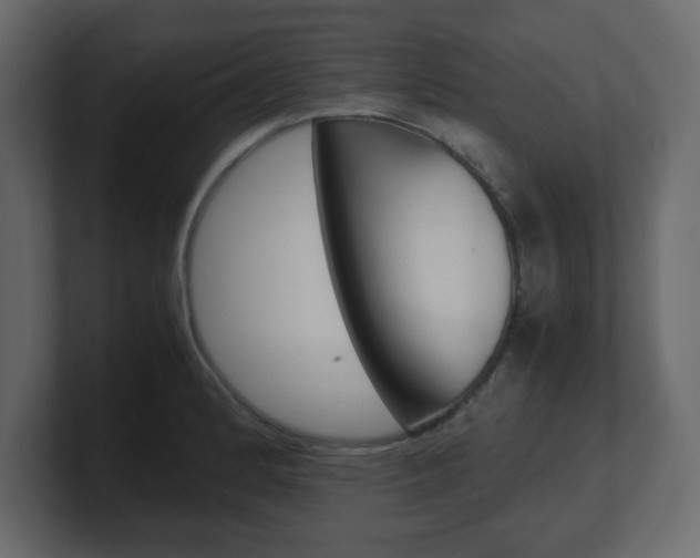 X0000101191184200806270841