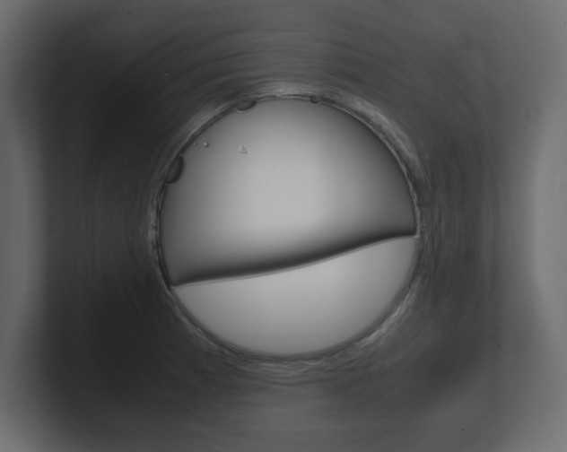 X0000101191185200806270841
