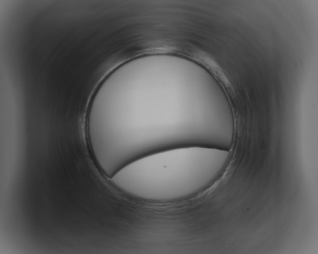 X0000101191186200806270841