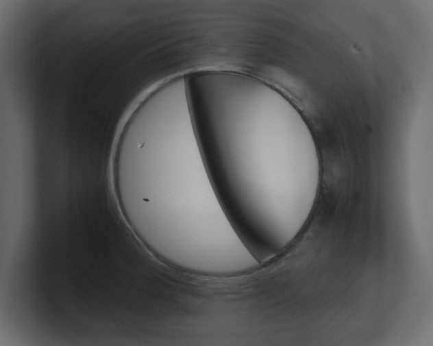 X0000101191188200806270841