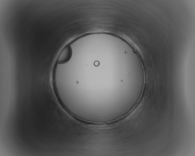 X0000101191189200806270841