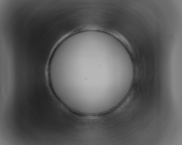 X0000101191190200806270841