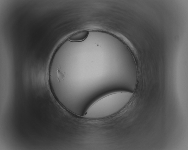 X0000101191191200806270841