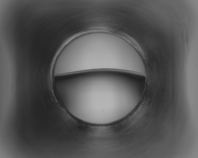 X0000101191192200806270841