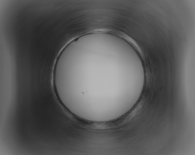 X0000101191194200806270841
