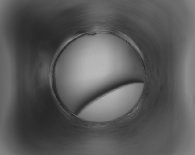 X0000101191195200806270841