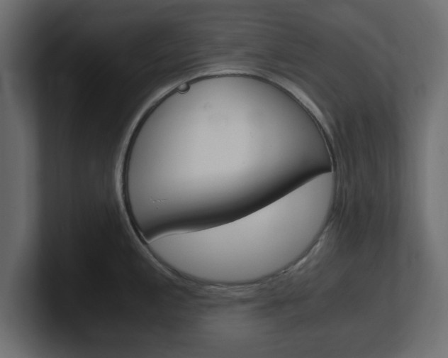 X0000101191197200806270841