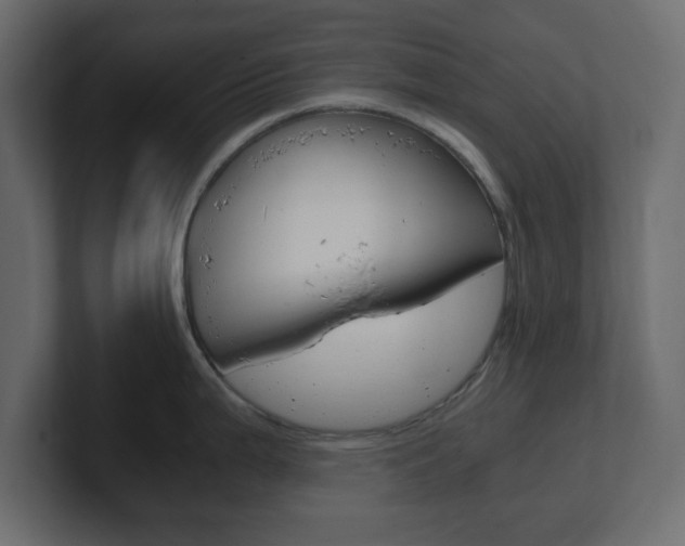 X0000101191199200806270841