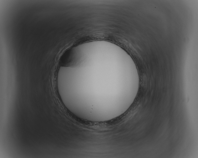 X0000101191201200806270840