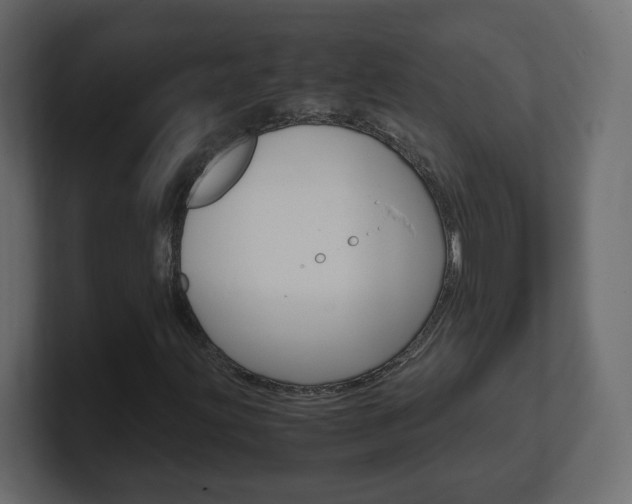 X0000101191203200806270840