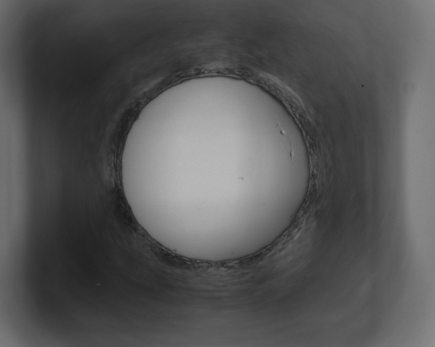 X0000101191207200806270840