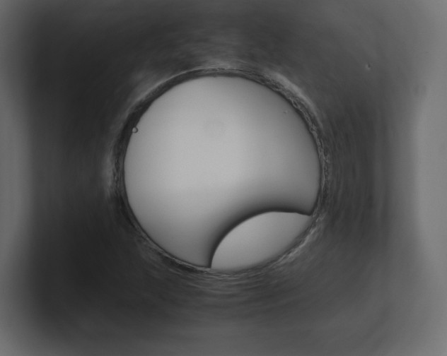 X0000101191215200806270840