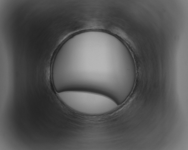 X0000101191220200806270840