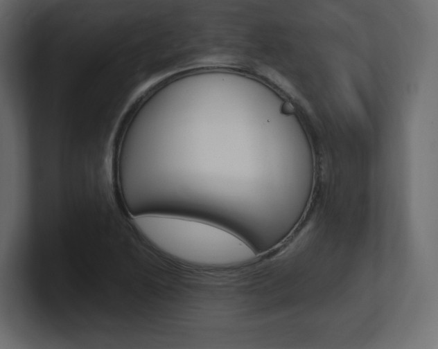 X0000101191222200806270840
